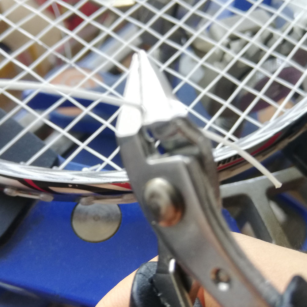 Professional Badminton Racket  - Badminton Racket Carbon recension och pris